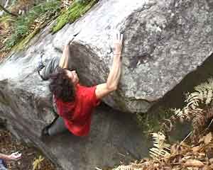 Rochers &agrave; Fontainebleau 2003/5 (Photographic, video, animation, construction, drawing)